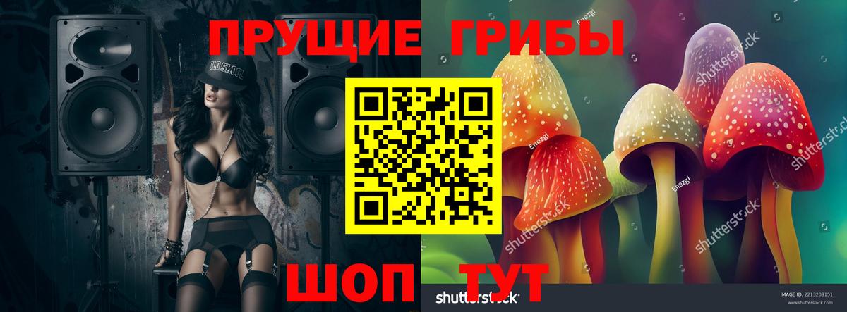 Псилоцибиновые грибы Cubensis  Псилоцибиновые грибы ЛСД  Губкин  Вход с VPN 